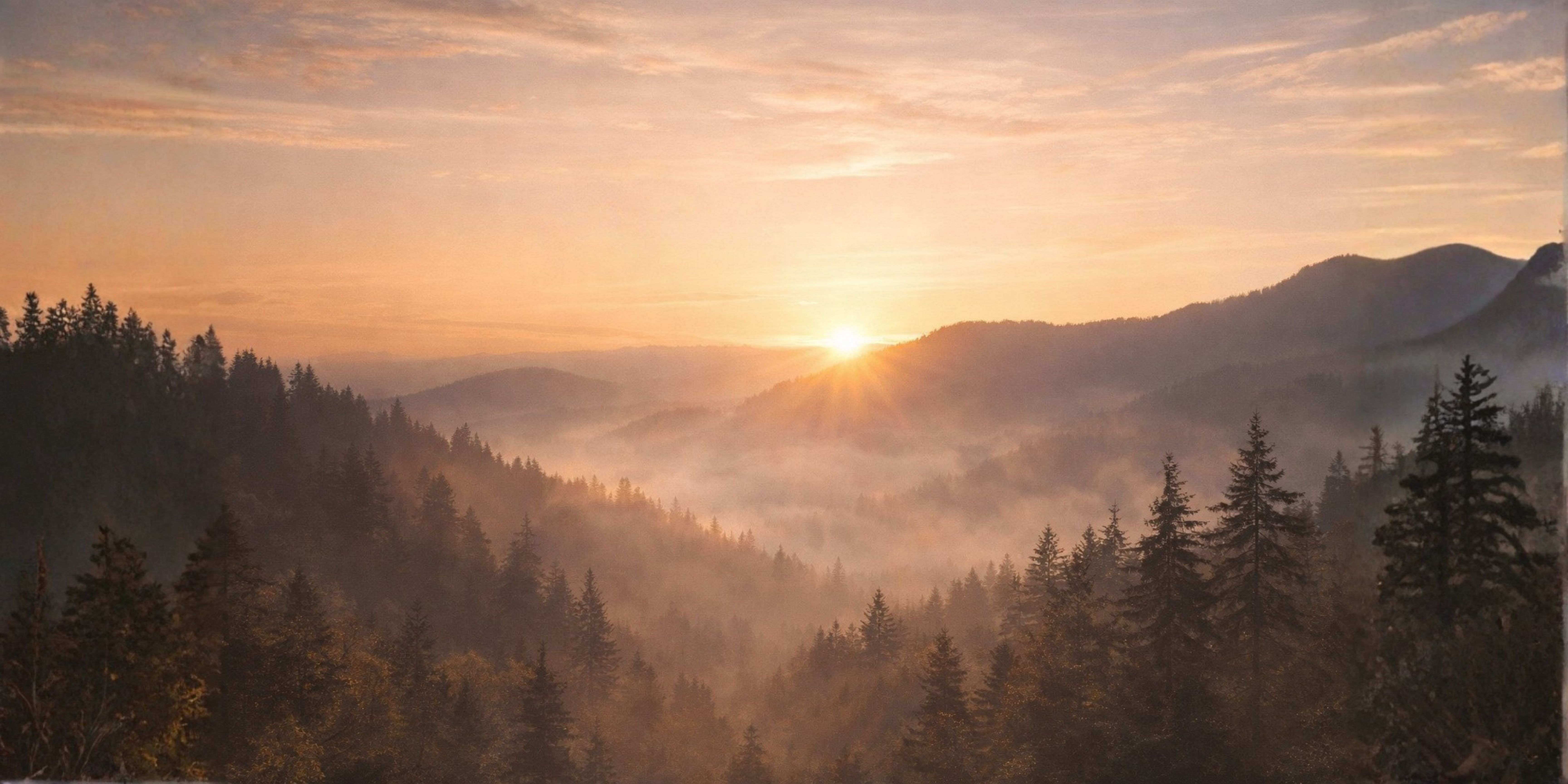 Sunrise over misty mountains symbolising reflection, growth and new beginnings